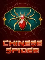 Chinese Spider